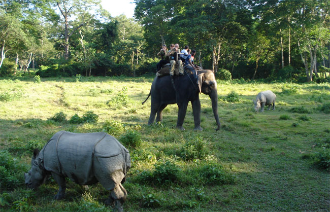 Chitwan Jungle Safari 2 Nights & 3 Days